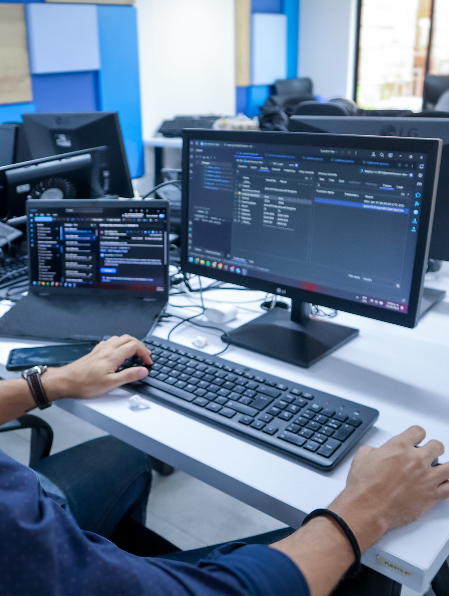 desarrollo de software